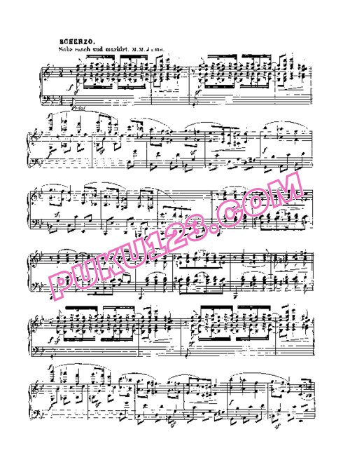 天天钢琴网-免费下载04、舒曼 第二号钢琴奏鸣曲 G小调 OP. 22 (野田废弹了第一乐章)Schumann Piano Sonata No. 2 in G Minor