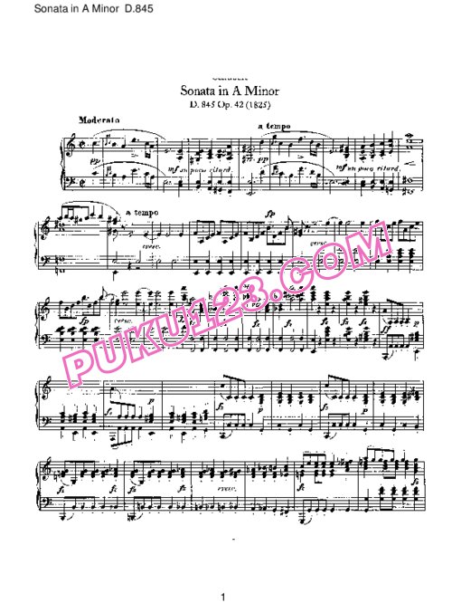 天天钢琴网-免费下载05、舒伯特A小调奏鸣曲 D. 845 Schubert Piano Sonata No.16 in A minor D. 845