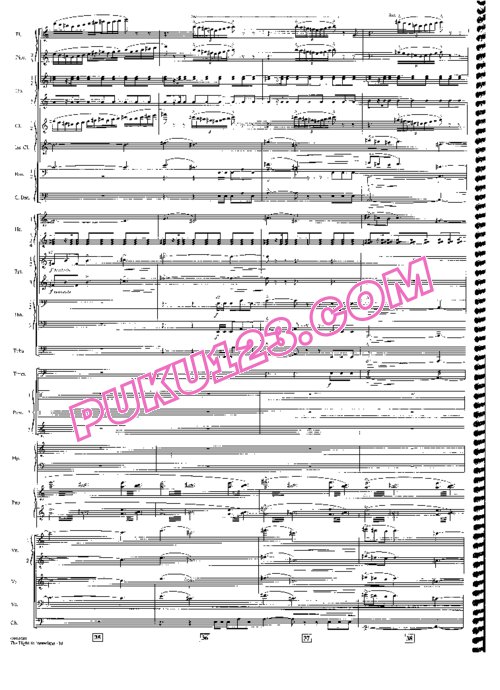 天天钢琴网-免费下载约翰威廉姆斯 虎克船长主题曲《Flight To Neverland》乐队总谱