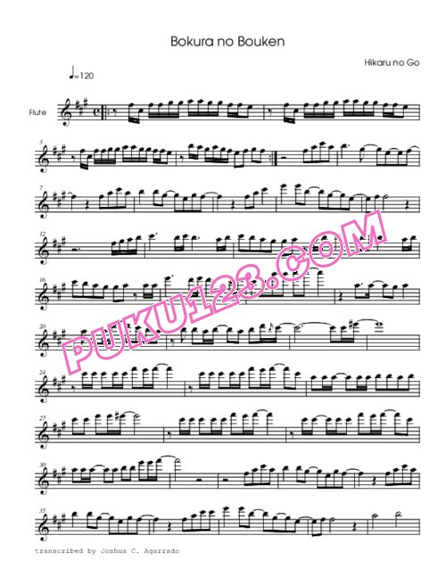 天天钢琴网-免费下载hikaru-no-go-bokura-no-bouken-flute-solo