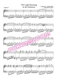 Suikoden 5 - The Light Moaning in the Darkness封面