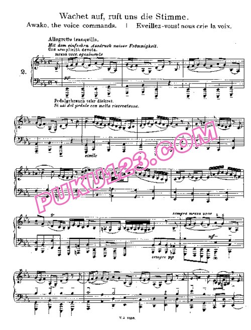 天天钢琴网-免费下载Bach - Busoni - Chorale Preludes, Wachtet auf, ruft uns die Stimme BWV 645 布索尼改编钢琴独奏版