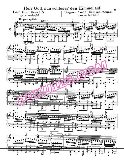 天天钢琴网-免费下载Bach - Herr Gott, Nun Schleuss den Himmel Auf BWV 617 布索尼改编钢琴独奏版