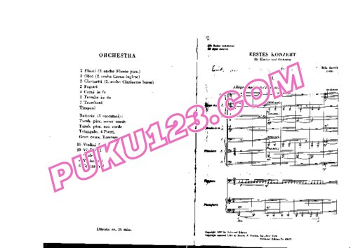 天天钢琴网-免费下载Bartok - Piano Concerto No[1]. 1 (full score) 总谱
