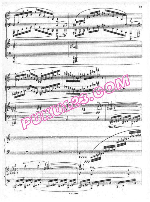 天天钢琴网-免费下载Busoni - Piano Concerto inC Major Op.39 Mov.1-2 - 2 Pianos 双钢琴版第1-2乐章