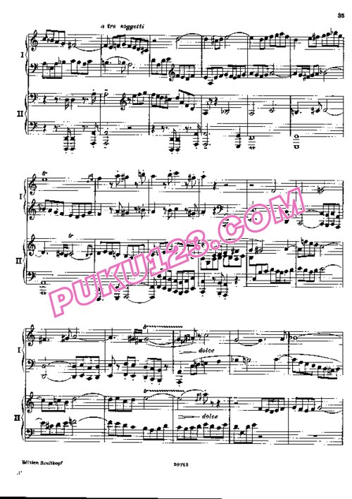 天天钢琴网-免费下载Busoni -- Fantasia Contrappuntistica - 2 Pianos