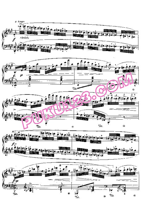 天天钢琴网-免费下载Chopin - Grand Fantasy on Polish Airs Op.13 钢琴独奏版