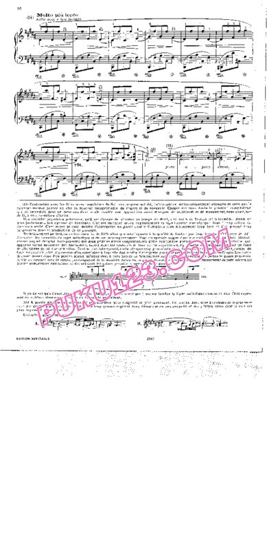 天天钢琴网-免费下载Chopin - Scherzo no.1 in b Minor Op.20 柯尔托教学版