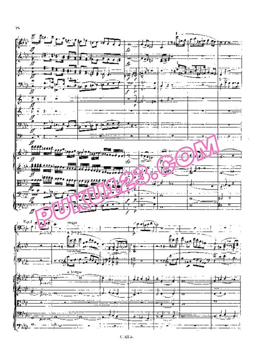 天天钢琴网-免费下载Chopin - Piano Concerto No.2 in f Minor Op.21 - Full Score
