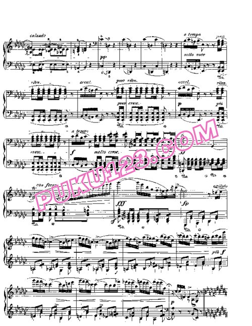 天天钢琴网-免费下载Chopin - Deux Polonaises Op.26