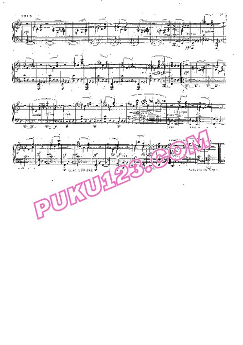 天天钢琴网-免费下载Czerny - Piano Sonata No.2 in a Minor Op.13