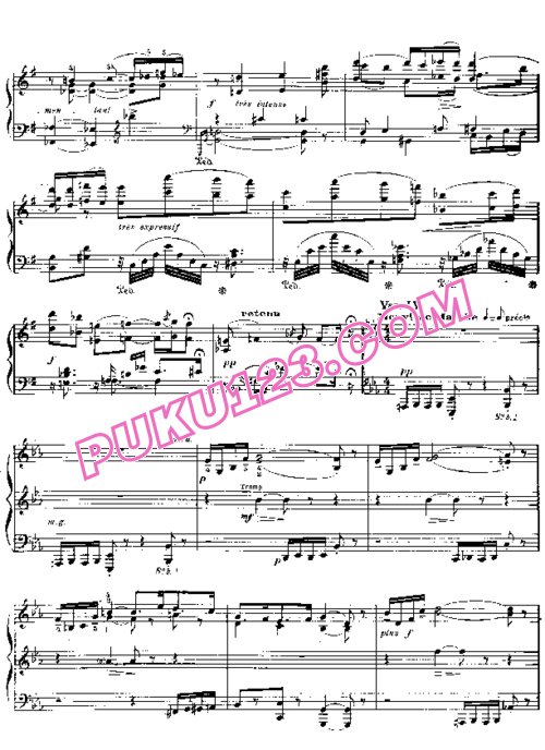 天天钢琴网-免费下载D Indy - Fantaisie sur un Vieil air de Ronde Francaise Op.99