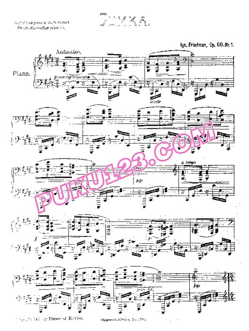 天天钢琴网-免费下载Friedman - Polnische Lyrik Op.60