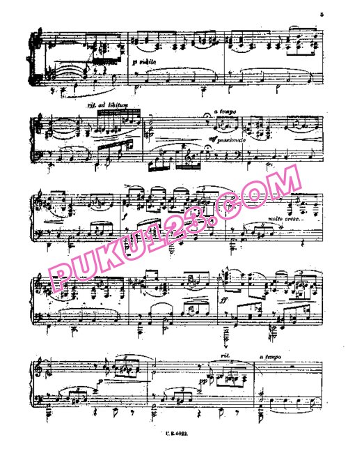 天天钢琴网-免费下载Friedman - Polnische Lyrik Op.72