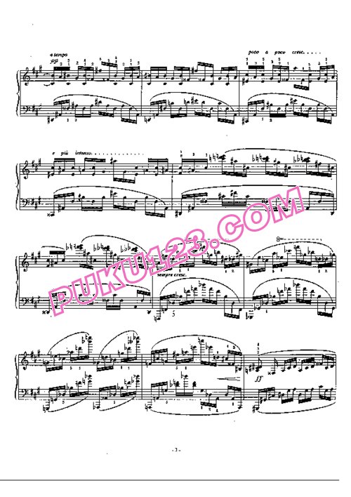 天天钢琴网-免费下载Hamelin - Etude No. 10 (D après Chopin)