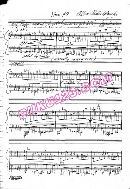 天天钢琴网-免费下载Hamelin - Etude No. 7 in E flat minor