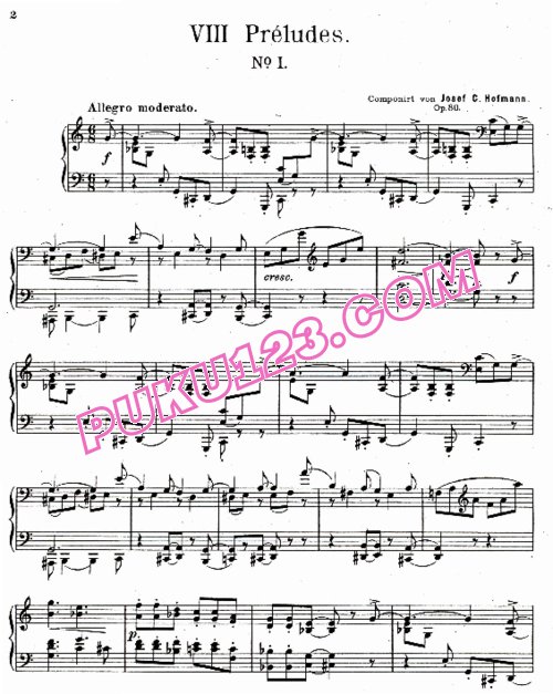 天天钢琴网-免费下载Hofmann - 8 Preludes Op.30