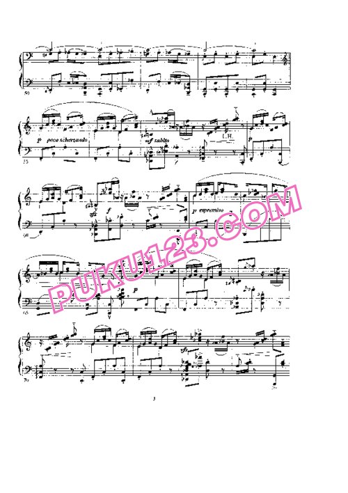 天天钢琴网-免费下载Horowitz - Danse Excentrique (1921)