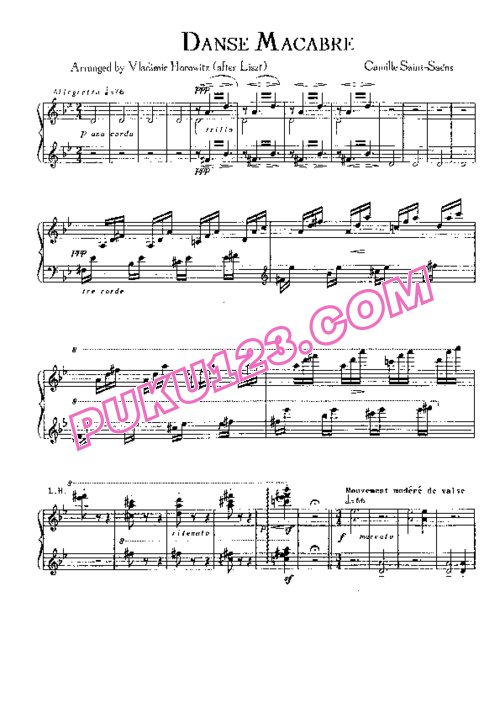 天天钢琴网-免费下载Horowitz - Saint-Saens - Danse Macabre Op.40 共2首
