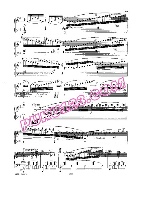 天天钢琴网-免费下载Hummel - Piano Concerto in b Minor Op.89 - Solo Piano