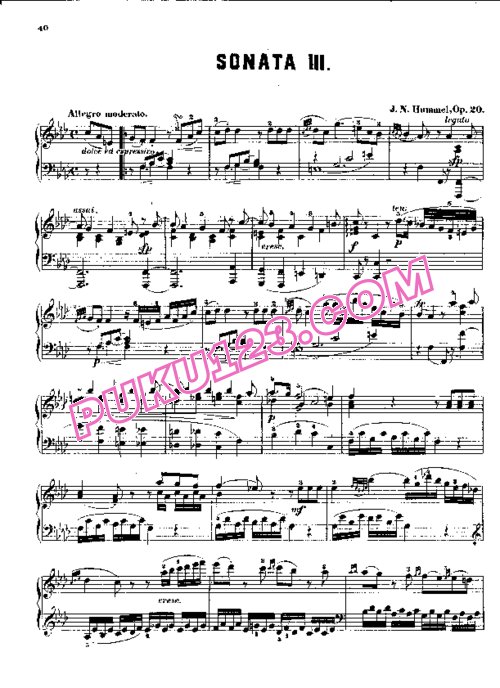 天天钢琴网-免费下载Hummel - Piano Sonata No.3 in f Minor Op.20