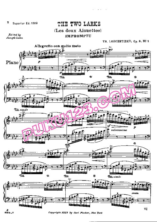 天天钢琴网-免费下载Leschetizky - Deux Morceaux Op.2