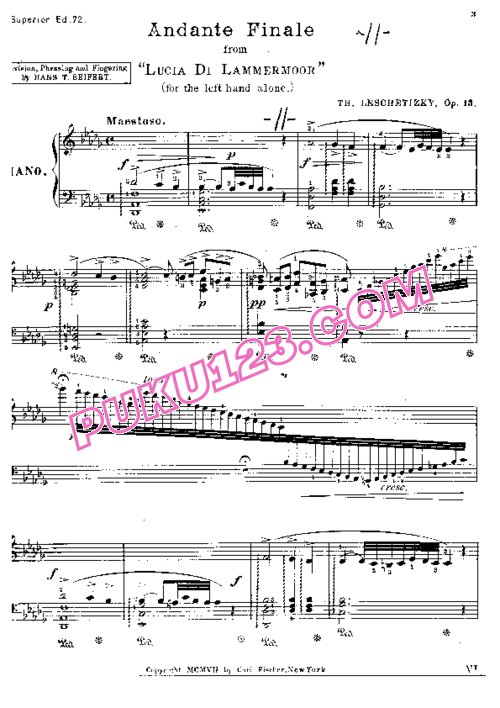 天天钢琴网-免费下载Leschetizky - Andante Finale From Donizetti s Lucia di Lammermoor Op.13 - Left Hand