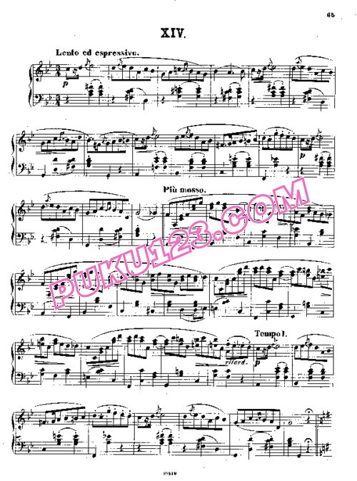 天天钢琴网-免费下载Scharwenka - 4 Polish Dances Op.47