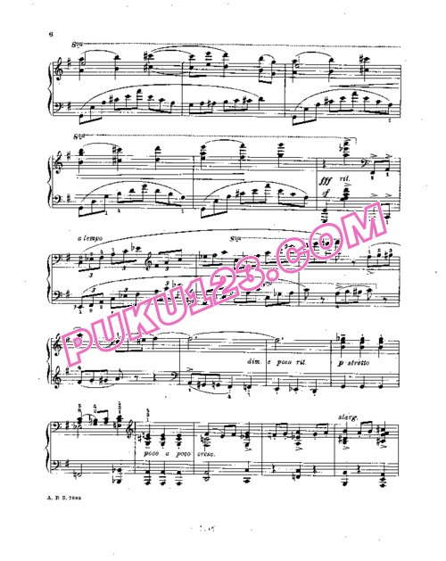 天天钢琴网-免费下载Stojowski - 2 Mazurkas Op.28