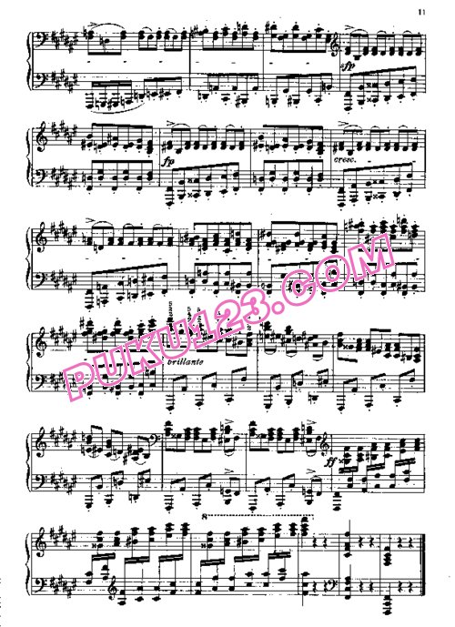 天天钢琴网-免费下载Tausig - 2 Etudes de Concert Op.1