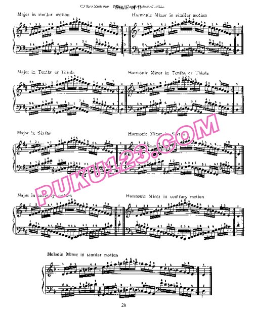 天天钢琴网-免费下载Philipp - Complete School of Technic for the Piano