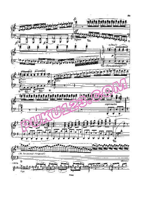 天天钢琴网-免费下载Beethoven - Busoni - 2 Cadenzas to Piano Concerto No.4 Op.58