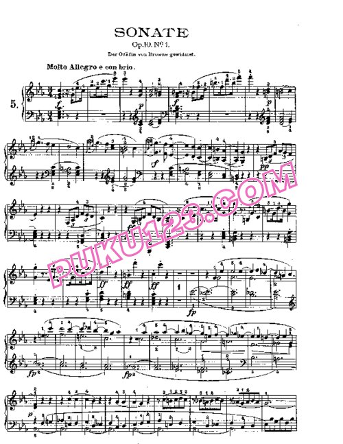 天天钢琴网-免费下载Beethoven - Piano Sonata in c-moll Op[1].10-1
