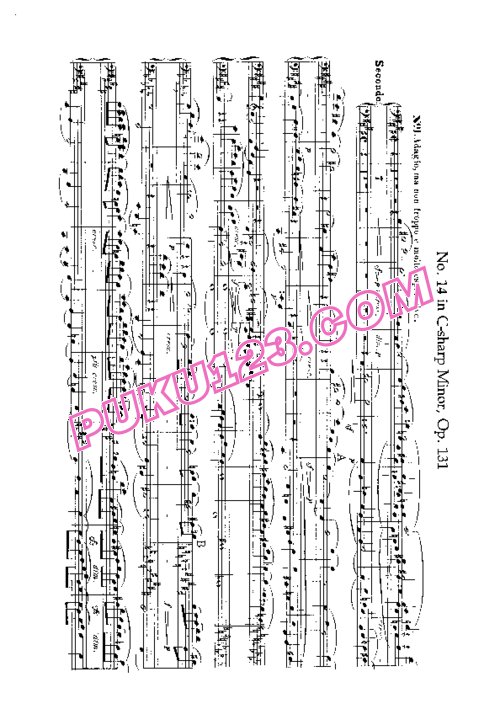 天天钢琴网-免费下载Beethoven - String Quartet No.14 in c-sharp Minor Op.131 - 4 Hands
