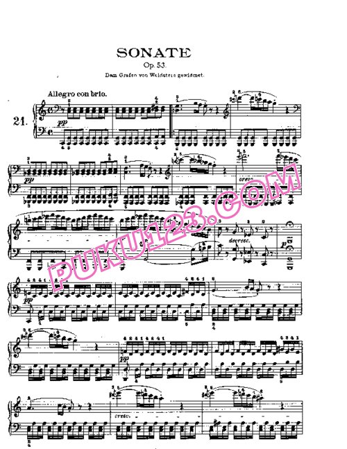 天天钢琴网-免费下载Beethoven - Piano Sonata in C-dur Op[1]. 53 Waldstein