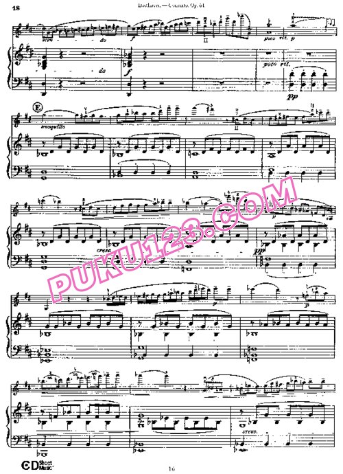 天天钢琴网-免费下载Beethoven - Violin Concerto in D Major Op[1].61 - 小提琴与钢琴版