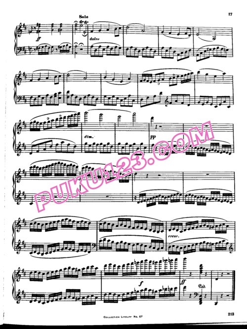 天天钢琴网-免费下载Beethoven - Winkler - Violin Concerto in D Major Op.61 - Solo Piano