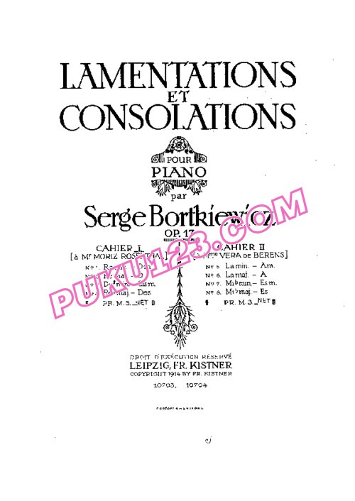 天天钢琴网-免费下载Bortkiewicz - Lamentations and Consolations Op.17