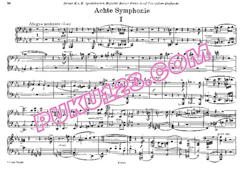 天天钢琴网-免费下载Bruckner - Singer - Symphony No.8 in c Minor - 4 Hands