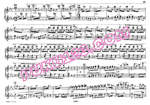 天天钢琴网-免费下载Bruckner - Singer - Symphony No.8 in c Minor - 4 Hands