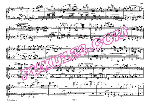 天天钢琴网-免费下载Bruckner - Singer - Symphony No.8 in c Minor - 4 Hands