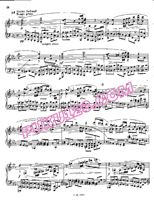 天天钢琴网-免费下载Bruckner - Symphony No.3 in d Minor - Solo Piano