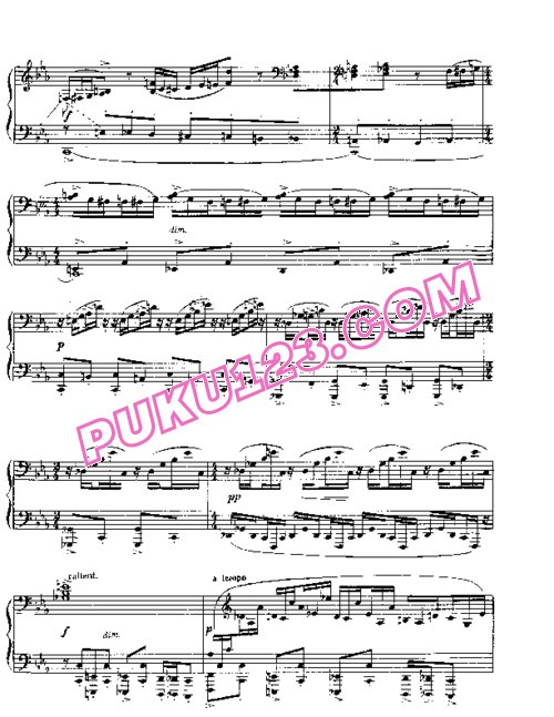 天天钢琴网-免费下载Rachmaninov etudes-tableau op 39 1