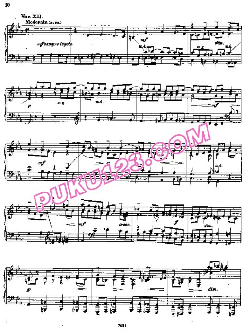 天天钢琴网-免费下载Rachmaninoff - Variations on a Theme by Chopin Op.22