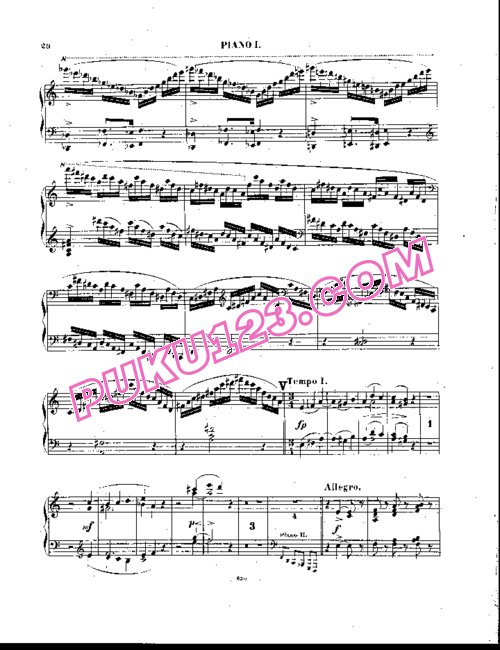 天天钢琴网-免费下载Raff - Chaconne for 2 Pianos Op.150 双钢琴