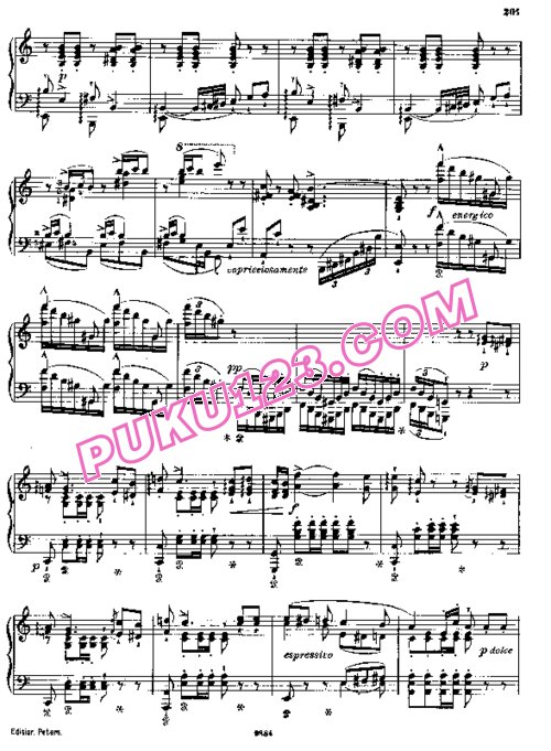 天天钢琴网-免费下载Rossini - Liszt - Soirees Musicales No.2 La Regatta Venetiana 李斯特改编《威尼斯船赛》钢琴独奏版