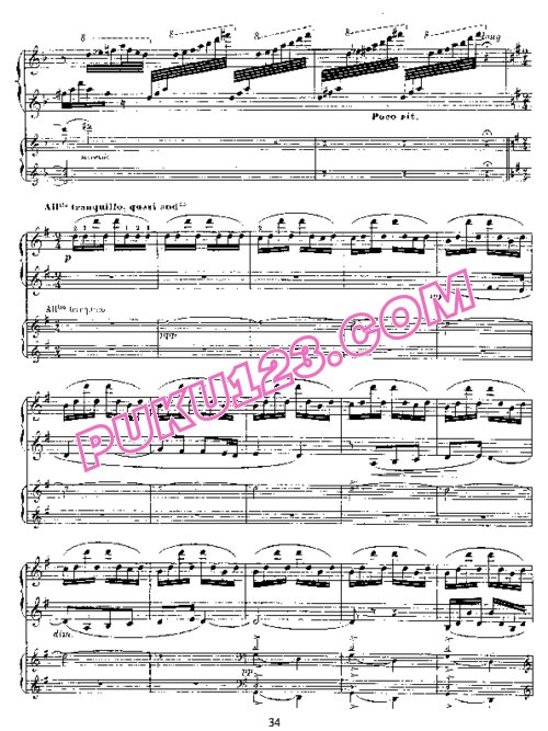 天天钢琴网-免费下载Saint-Saens - Piano Concerto No.5 Op.103 - 2 Pianos