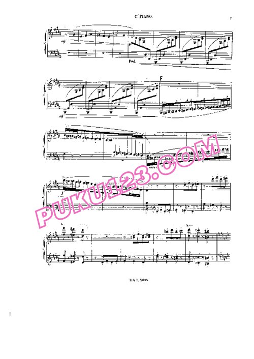 天天钢琴网-免费下载Saint-Saens - Danse Macabre Op.40 - 2 Pianos 双钢琴版