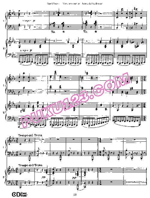 天天钢琴网-免费下载Saint Saens - Variations sur une Thème de Beethoven Op.35 双钢琴