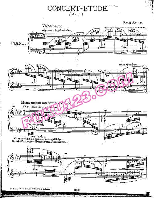 天天钢琴网-免费下载Sauer - Etudes de Concert No.1